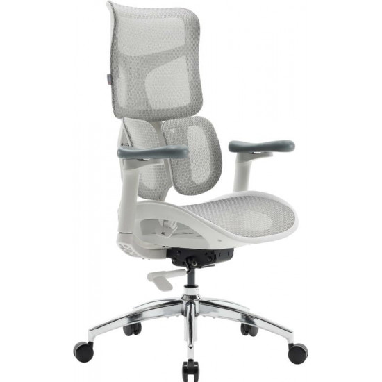 Крісло офісне Sihoo Doro S100 Mesh White (S100-M302)