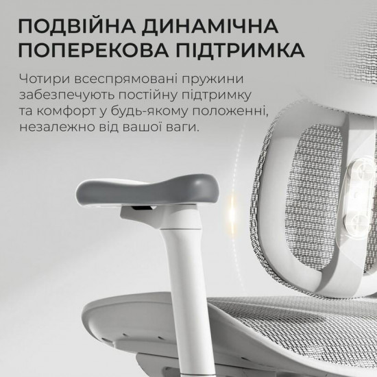 Крісло офісне Sihoo Doro S100 Mesh White (S100-M302)