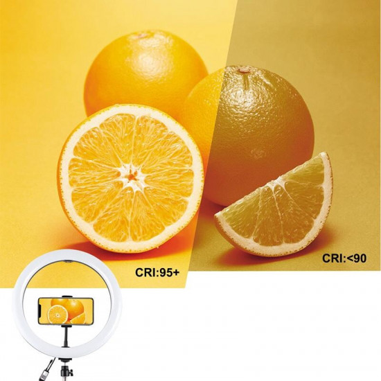 Кільцева LED-лампа Puluz PU411EU 12" (PU411EU)