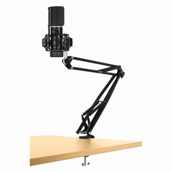 Мікрофон Streamplify MIC ARM-48-RGB-MA Black (SPMC-MZ1C227.11)