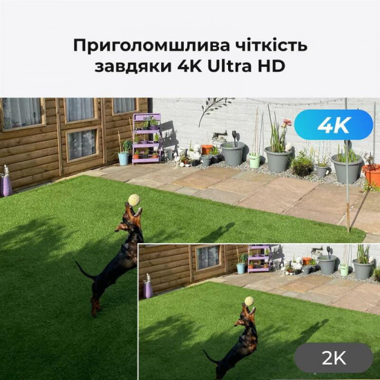 IP-камера Reolink P330 2.8 mm (RLC-810A)