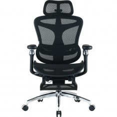 Крісло офісне Sihoo Doro C300 Pro Mesh Black with footrest (Doro-C300-Pro-M101-JT)