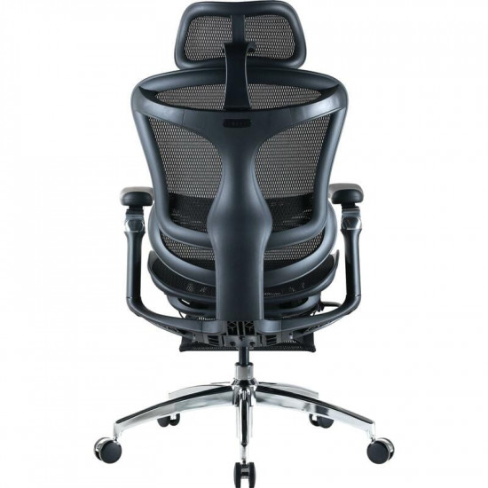 Крісло офісне Sihoo Doro C300 Pro Mesh Black with footrest (Doro-C300-Pro-M101-JT)