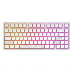Клавіатура Dark Project ALU81 Terra Nostra White (DPKB_NOSTRA_81_ANSI_WHITE_UA)