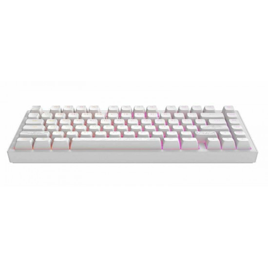 Клавіатура Dark Project ALU81 Terra Nostra White (DPKB_NOSTRA_81_ANSI_WHITE_UA)