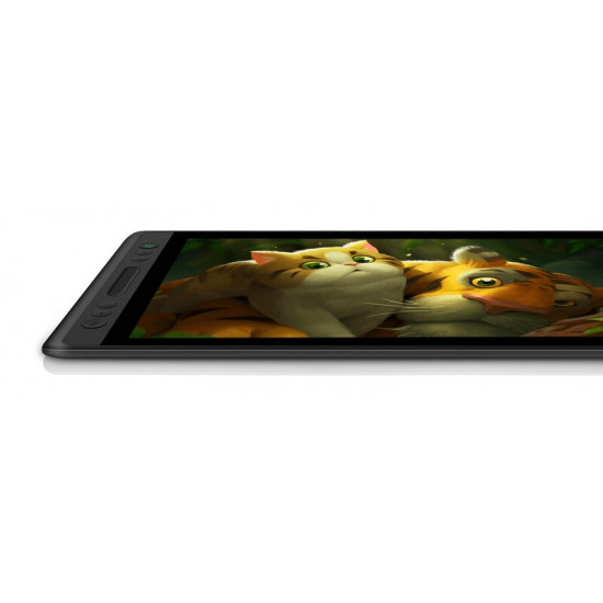 Графічний монітор Huion Kamvas Pro 13 (GT-133)