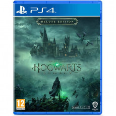 Гра Hogwarts Legacy. Deluxe Edition для PlayStation 4, Blu-ray (5051895415412)