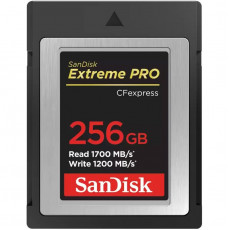 Карта пам`яті CFexpress (Type B) 256GB SanDisk Extreme Pro R1700/W1200MB/s (SDCFE-256G-GN4NN)