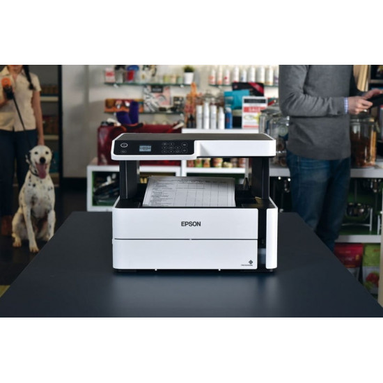 Багатофункційний пристрій А4 Epson M2170 Фабрика друку з WI-FI (C11CH43404)