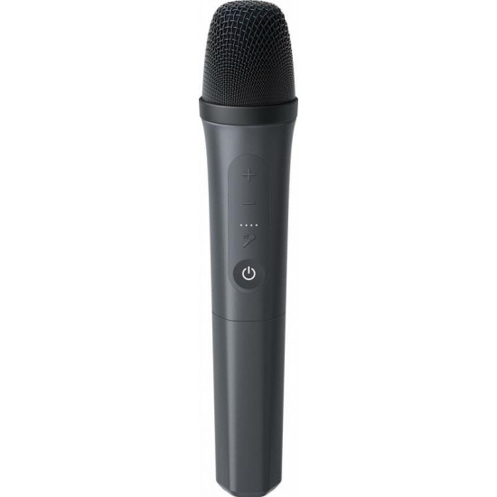 Акустична система Anker SoundCore Rave 3S Black (A31A3012)