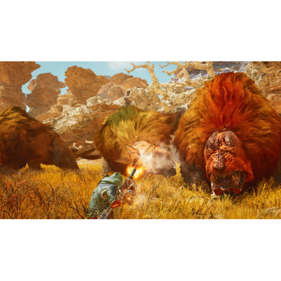 Гра Monster Hunter Wilds для Sony PlayStation 5, Blu-ray (5055060905029)