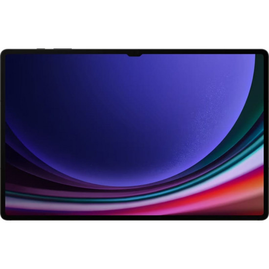 Планшет Samsung Galaxy Tab S9 Ultra 5G SM-X916 12/512GB Graphite (SM-X916BZAESEK)