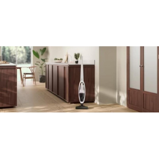 Акумуляторний пилосос Electrolux ES31CB18SH