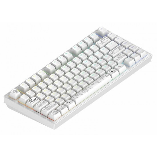 Клавіатура Dark Project ALU81 Terra Nova White (DPKB_NOVA_81_ANSI_WHITE_UA)