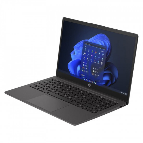 Ноутбук HP 245 G10 (B39TGAT) Black