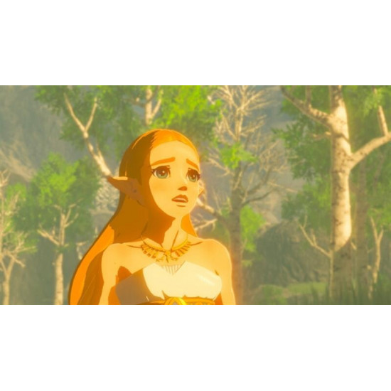 Гра The Legend of Zelda: Breath of the Wild для Nintendo Switch (045496420055)