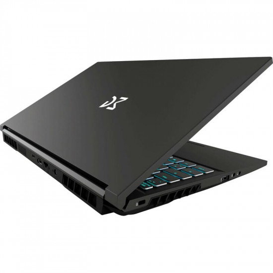 Ноутбук Dream Machines RG3050-15 (RG3050-15UA77) Black