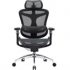 Крісло офісне Sihoo Doro C300 Pro Mesh Black (DORO-C300-PRO-M101)