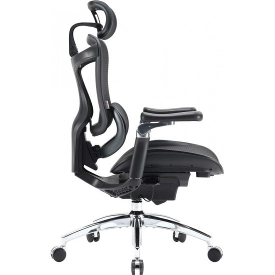Крісло офісне Sihoo Doro C300 Pro Mesh Black (DORO-C300-PRO-M101)