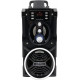 Акустична система Media-Tech Black (MT3150)