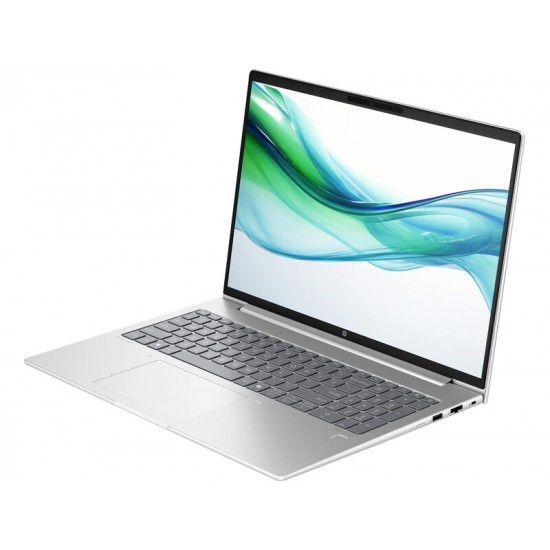 Ноутбук HP ProBook 460 G11 (AD1X2ET) Silver