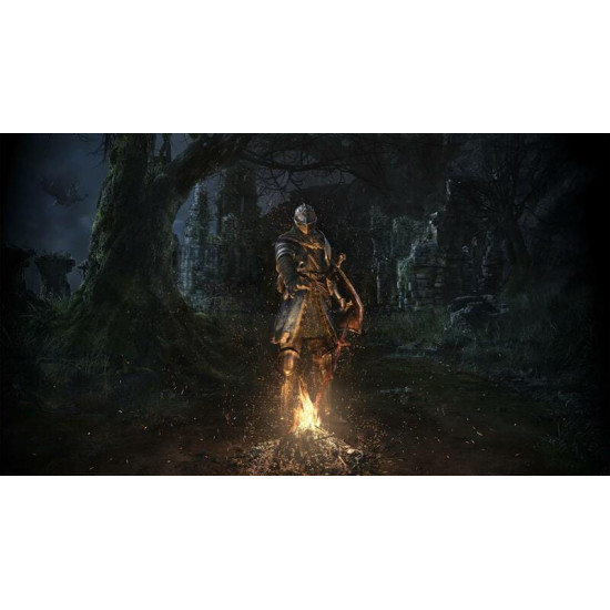 Гра Dark Souls: Remastered для Nintendo Switch (45496421892)
