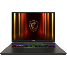 Ноутбук MSI Vector 17 HX AI A2XWJG-042UA (9S7-17S372-042) Meta Ready