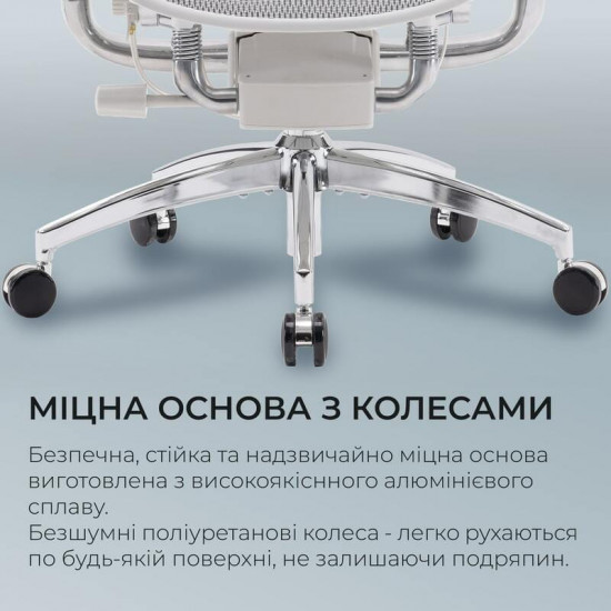 Крісло офісне Sihoo Doro S100 Mesh Black (S100-M301)