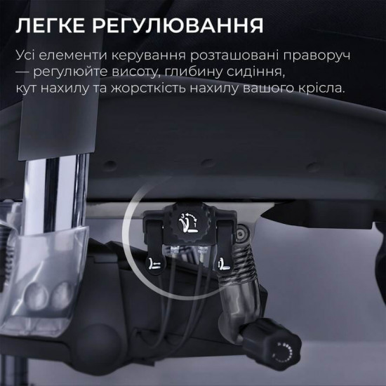 Крісло офісне Sihoo Doro S100 Mesh Black (S100-M301)