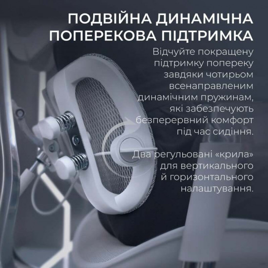 Крісло офісне Sihoo Doro S100 Mesh Black (S100-M301)