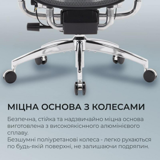 Крісло офісне Sihoo Doro S300 Mesh Dark Grey (S300-M201)