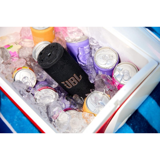 Акустична система JBL Grip Black (JBLGRIPBLK)