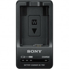 Зарядний пристрій Sony BC-TRW (BCTRW.CEE)