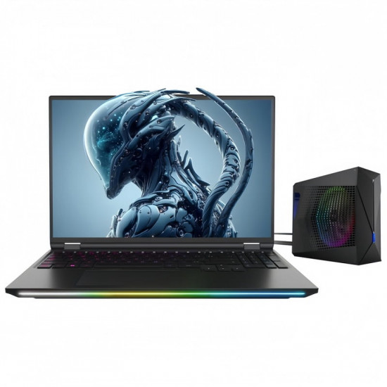 Ноутбук Dream Machines RX5090-16 (RX5090-16UA27) Black