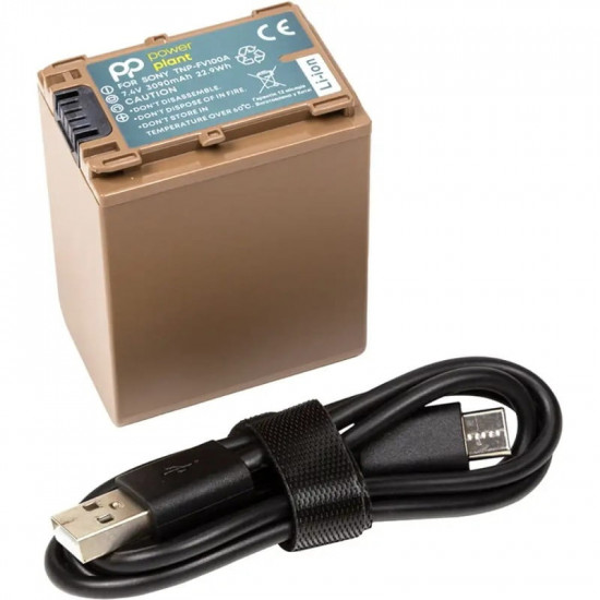 Акумулятор PowerPlant Sony TNP-FV100A 3090mAh з кабелем Type-C (CB971251)