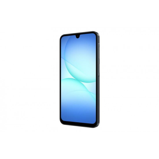 Смартфон Samsung Galaxy A17 SM-A175 8/256GB Black (SM-A175FZKEEUC)